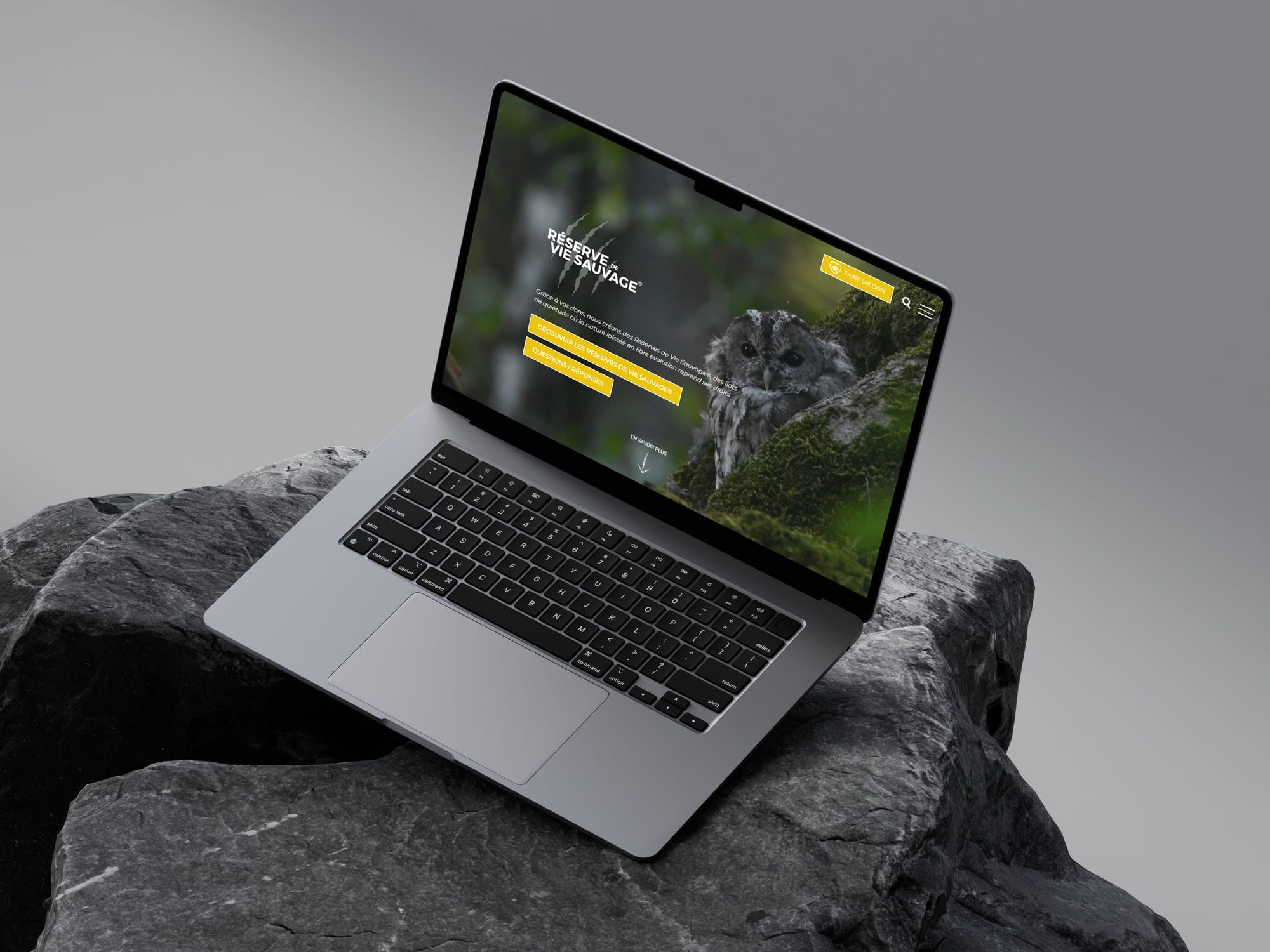 Aperçu du site ASPAS RVS sur ordinateur