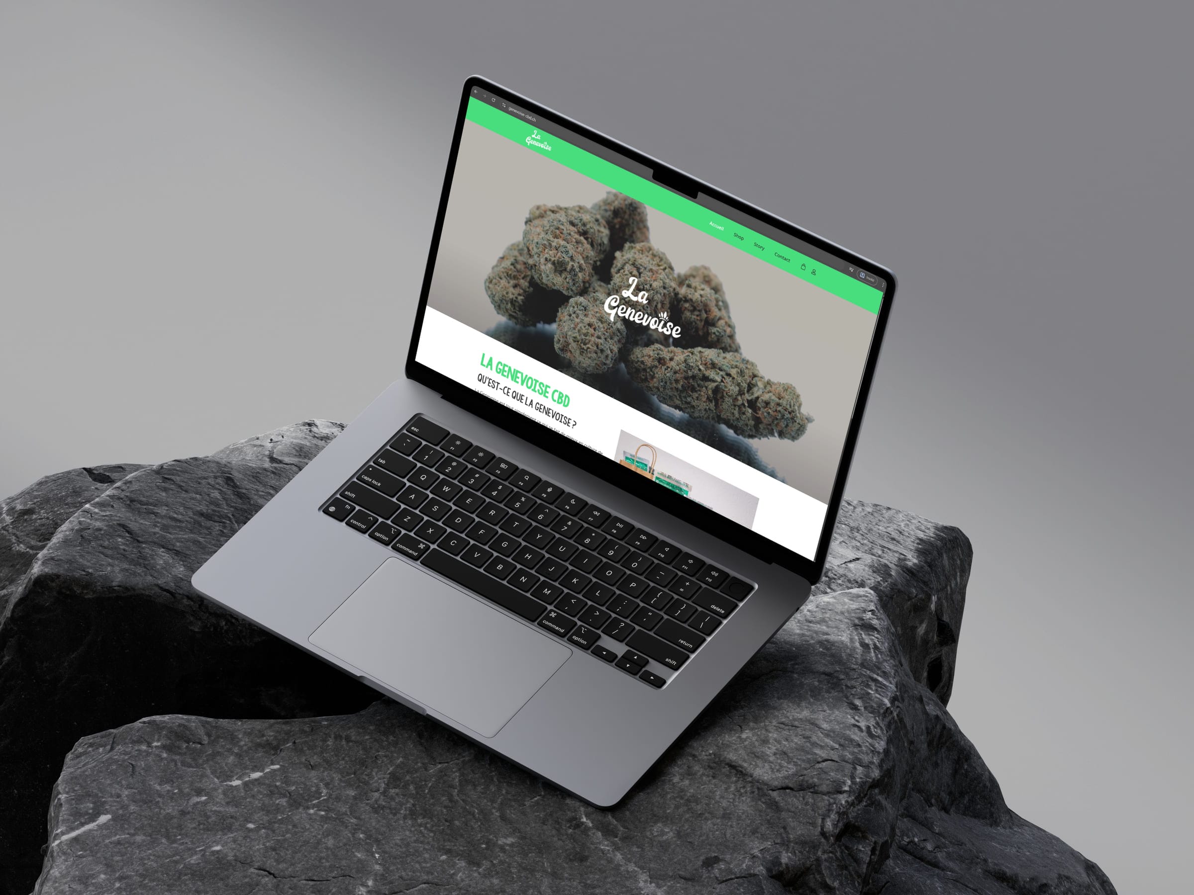 Aperçu du site La Genevoise CBD sur ordinateur