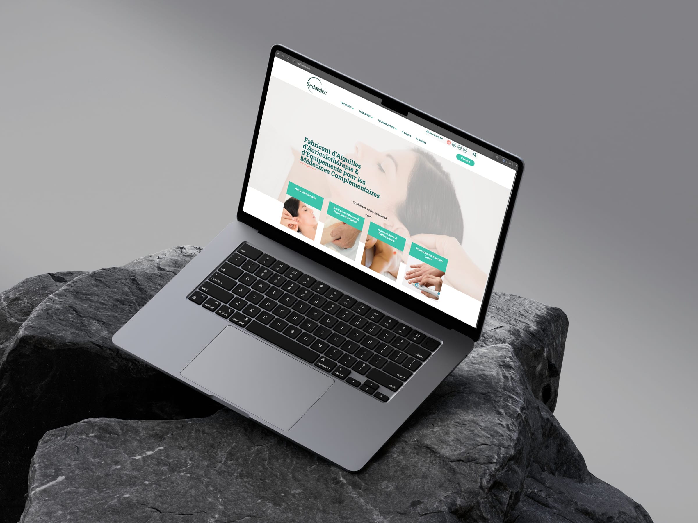 Aperçu du site Sedatelec sur ordinateur